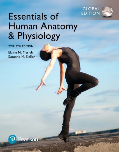 Essentials of Human Anatomy & Physiology, Global Edition (12th Edition) - Orginal Pdf